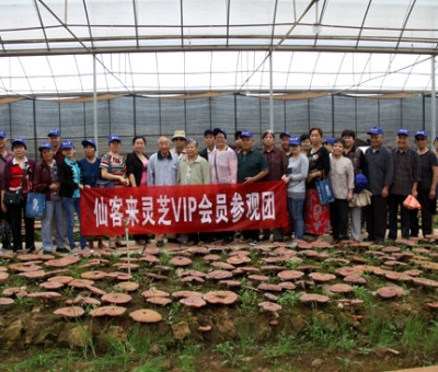 “慶國(guó)慶、賀重陽(yáng)”專家義診活動(dòng)在仙客來(lái)公司隆重舉行