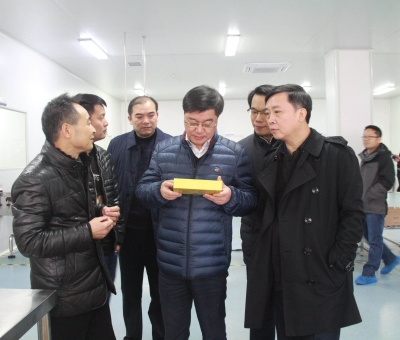 江西省檢察院黨組成員、副檢察長徐勝平一行來公司走訪調(diào)研