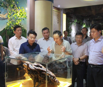 &ldquo;降成本，優(yōu)環(huán)境&rdquo;助企業(yè)騰飛&mdash;&mdash;江西省政協(xié)副主席率團(tuán)調(diào)研仙客來！