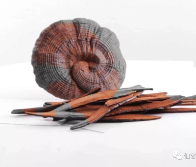 先，鮮，仙，一杯飲盡天下鮮。