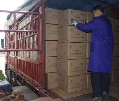 【4天加班15次缺貨】只為人皆有“芝”！