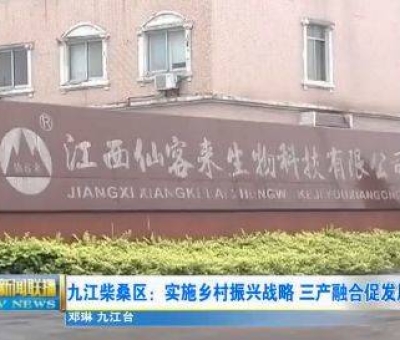 中國(guó)人只需要“別具”，缺失了“匠心”！