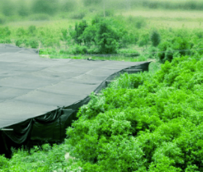 感謝廬山吧，這會是一場“仙旅情緣”