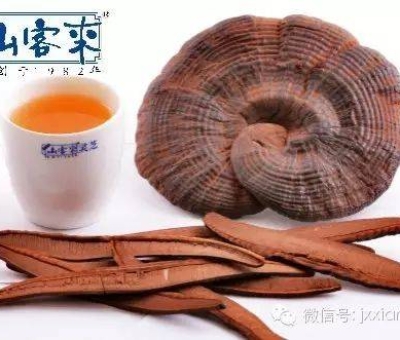 熱潮不斷！仙客來有機(jī)靈芝被點贊刷屏