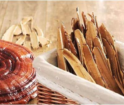 仙客來(lái)有機(jī)精選赤靈芝切片煲湯泡茶必備好物