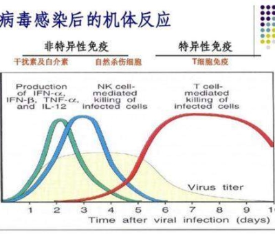 研究發(fā)現(xiàn)：新冠病毒攻擊人體免疫細(xì)胞 擊毀免疫系統(tǒng)