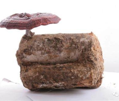 小滿時(shí)節(jié)脾胃失調(diào)，如何養(yǎng)生才健康？