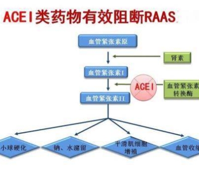 不吃藥，能降低高血壓？