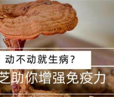 冬病夏治-如何調(diào)養(yǎng)身體？