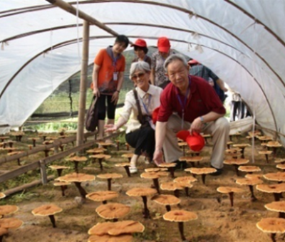 “七一勛章”獲得者張桂梅背后的故事：他們將靈芝磨成粉，送給她拌飯吃，說，吃這些能治病