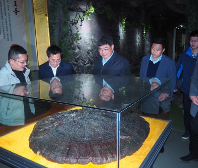 江西省委宣傳部副部長傅云一行蒞臨仙客來考察調研