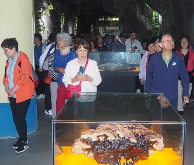 深深靈芝情！中華全國(guó)供銷(xiāo)合作總社再訪(fǎng)仙客來(lái)