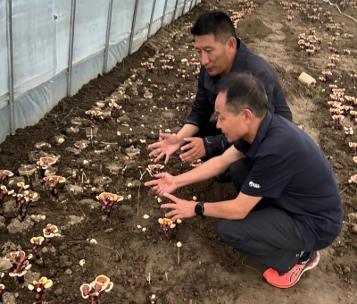 助力少數(shù)民族地區(qū)發(fā)展！潘新華應邀前往西藏拉薩市和林芝市 共商產業(yè)發(fā)展良策