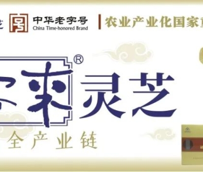 贊助商-仙客來(lái)靈芝，為健康加油