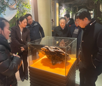 曲鳳宏赴仙客來考察調(diào)研